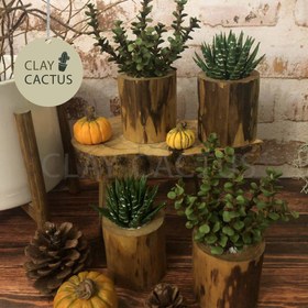 تصویر کاکتوس دست ساز با گلدان چوبی 