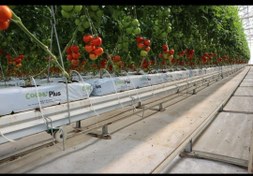 تصویر کیسه کشت کوکوچیپس سریلانکایی cocoplus