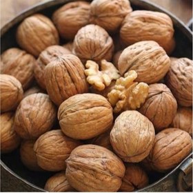 تصویر گردو آلتای ترکیه 