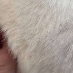 تصویر گوشگیر سفید ۱۹۸ تومنی 