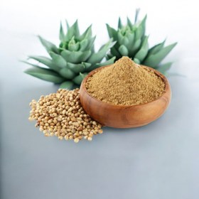 تصویر پودر تخم گشنیز 