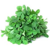 تصویر بذر یونجه سینا ۵۰ گرم 