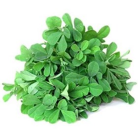 تصویر بذر یونجه سینا ۵۰ گرم 