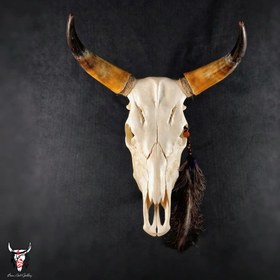 تصویر جمجمه گاو ساده 