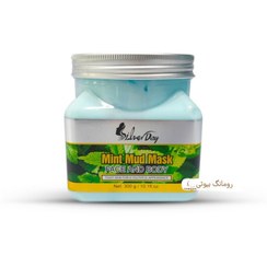 تصویر ماسک گچی نعنا سیلور silver حجم 300 گرم مدل SL-803 