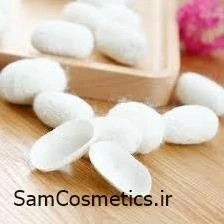 تصویر پیله ابریشم 