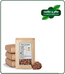 تصویر چلغوز (دانه کاج) بوداده فله 