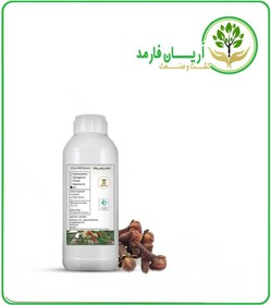 تصویر روغن میخک 