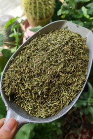 تصویر آویشن کوهی - برگ 