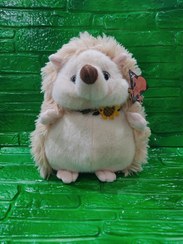 تصویر خار پشت 