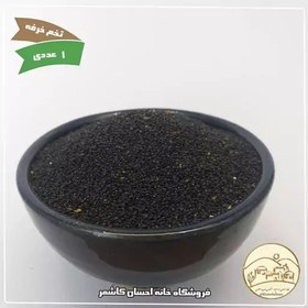 تصویر تخم خرفه 110 گرمی خانه احسان کاشمر 