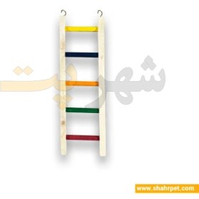 تصویر نردبان رنگی پرنده شهرپت H32 Shahrpet Bird Toy