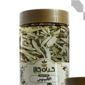 تصویر اکالیپتوس خشک (سورت شده.بسیار تمییز.ضد میکروبی شده)250گرمی 