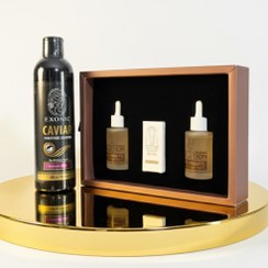 تصویر پک تقویتی مو EXONIC | شامپو خاویار + اگزو سرم 