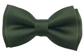 تصویر پاپیون ساتن ساده سبز چریکی-سبزتیره Plain Green Guerrilla Green Satin Bowtie