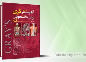 تصویر آناتومی گری برای دانشجویان 2024 - جلد اول (تنه) 
