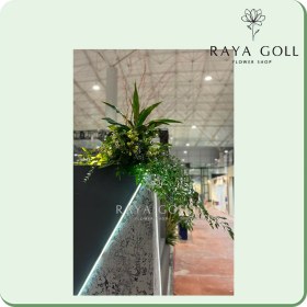 تصویر کوپه گل لیلیوم 