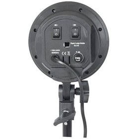 تصویر دو شاخه نور هشت (8) لامپ 