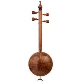 تصویر کمانچه صیامیان 