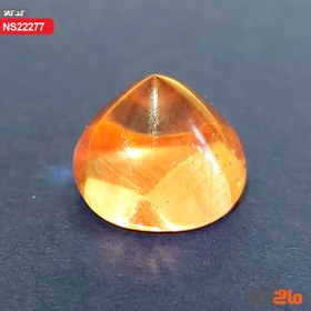 تصویر دُر حسینی 