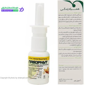 تصویر اسپری بینی گیاهی نازوفیت گل دارو حجم 20 میلی لیتر Goldaru Nasophyt Herbal Nasal Spray 20 ml