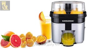 تصویر آب مرکبات گیری گوسونیک 406