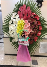 تصویر تاج گل دیار 