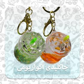 تصویر جاکلیدی آکواریومی مدل آبمیوه ای | Juice Keychain 