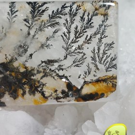 تصویر سنگ کوارتز شجر 