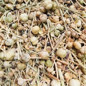 تصویر دونه اسپند نخودی200گرم 