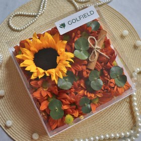 تصویر باکس گل طلقی پاییزه 