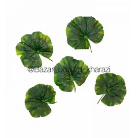 تصویر برگ شمعدانی 5 تایی 