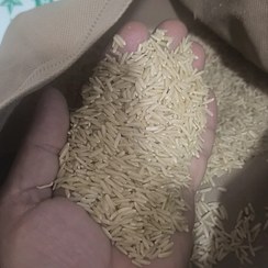 تصویر برنج . رژیمی . قهوه ای ، هاشمی ( پس کرایه ) 