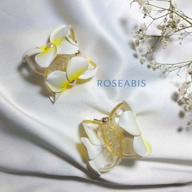 تصویر کلیپس گل ارکیده 