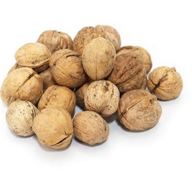 تصویر گردو با پوست 