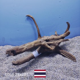 تصویر ریشه آبنوس کد1068 ارسال این ریشه رایگان می باشد