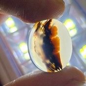 تصویر سنگ عقیق شجر قابل رشد 