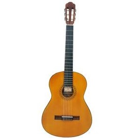 تصویر گیتار مدل c45 