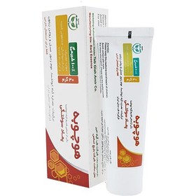 تصویر پماد سوختگی هوچوبه Hochobeh Burn Ointment