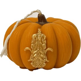 تصویر کدو گرد سلطنتی 