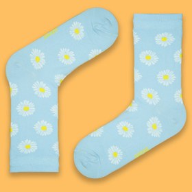 تصویر بابونه آبی 