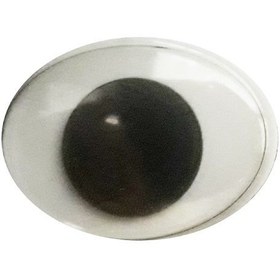 تصویر چشم متحرک بیضی 