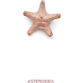 تصویر گل سینه ستاره دریایی کد JL.JBC.03210 