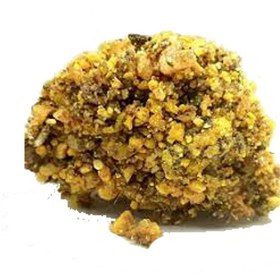 تصویر زدو نخودی (انگوم) 