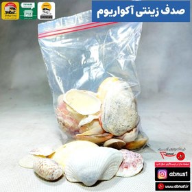 تصویر صدف زینتی خنثی مخصوص آکواریوم 250 گرم 