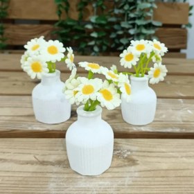 تصویر گل بابونه 