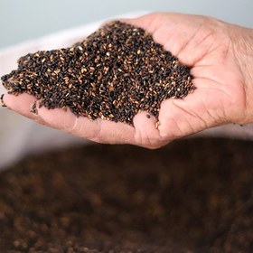 تصویر کنجد سیاه کیلویی 