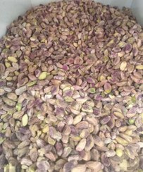 تصویر مغز پسته خام 1 کیلوگرمی Great Raw Pistachios nuts 1Kg