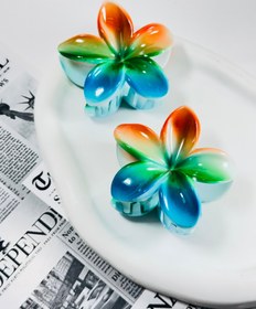 تصویر کلیپس پلومریابراق رنگین کمونی 