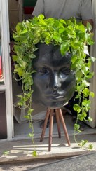 تصویر گلدان پتوس طبیعی رخ دختر مشکی 